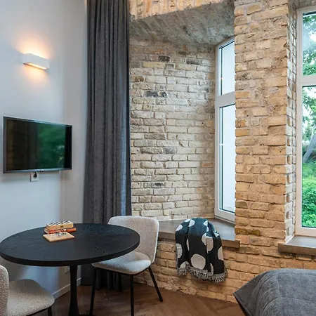 Art Boutique I Old Town W-ac I Cohost Apartman Vilnius