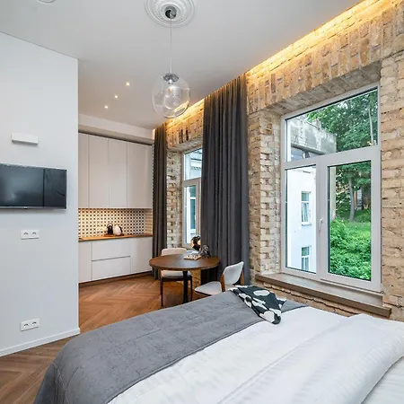 Art Boutique I Old Town W-ac I Cohost Апартаменты Вильнюс