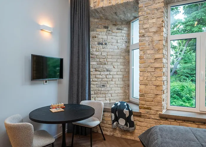 Art Boutique I Old Town W-ac I Cohost Appartement Vilnius