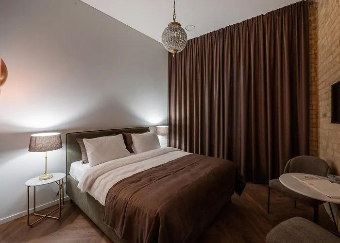 Art Boutique I Old Town W-ac I Cohost Appartement Vilnius