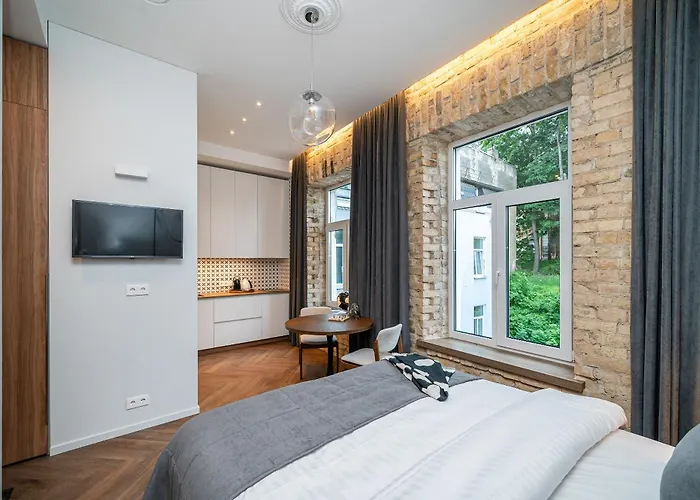 Art Boutique I Old Town W-ac I Cohost Appartement Vilnius