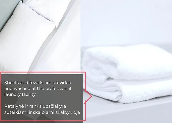 Art Boutique I Old Town W-ac I Cohost *